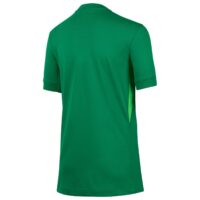 England Lionesses Nike Goalkeeper Stadium Shirt 2025 - Kids