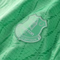 A2B image: everton-castore-home-goalkeeper-replica-shirt-2025-26 Everton Castore Home Goalkeeper Replica Shirt 2025-26